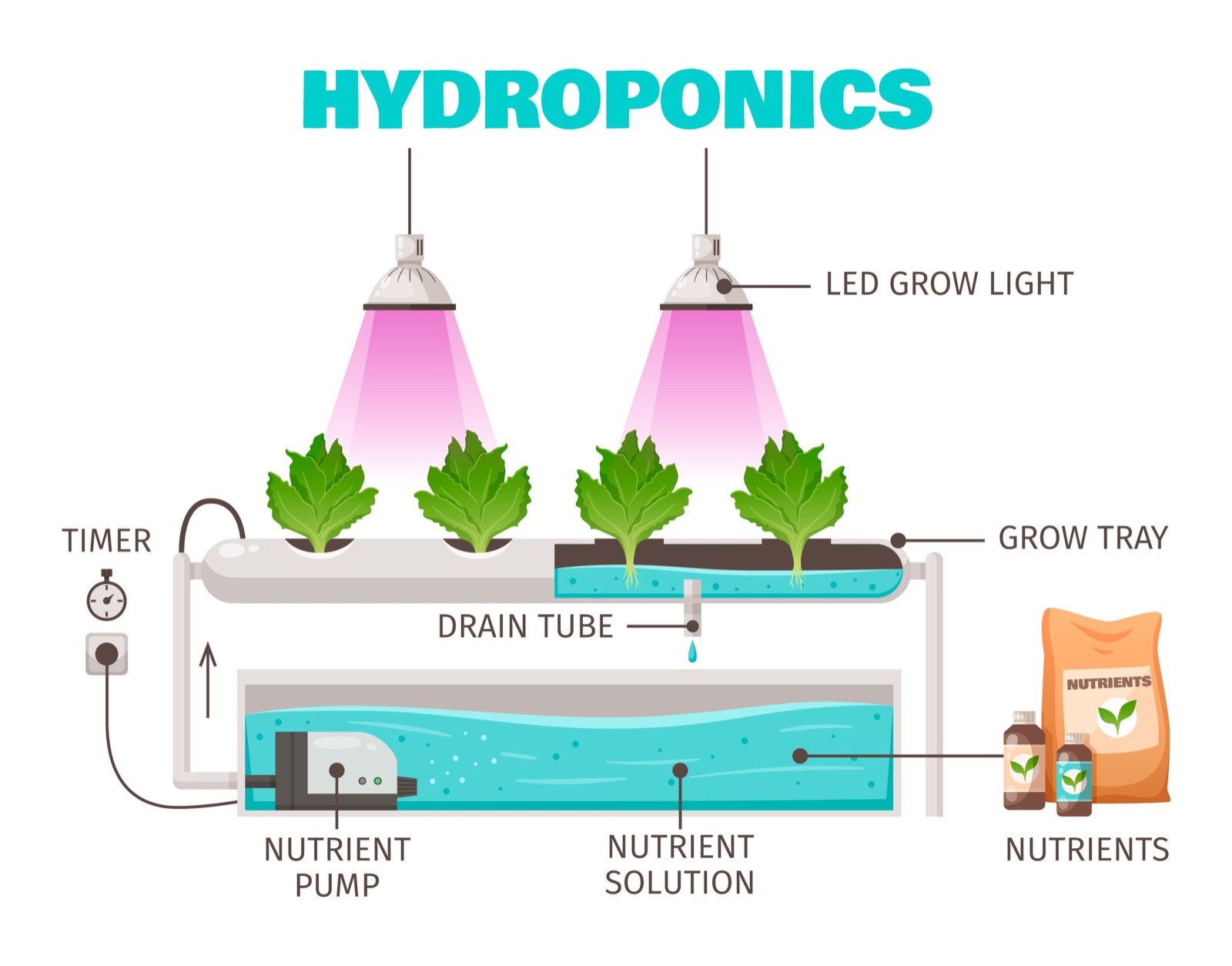 Illustration showing a hydroponic grow tray, nutrient solution, pump, drain tube, timer, nutrients, and grow lights