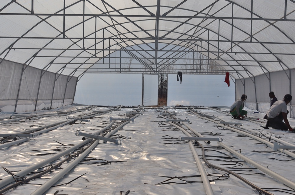Hydroponic tunnel interior being prepared for installation